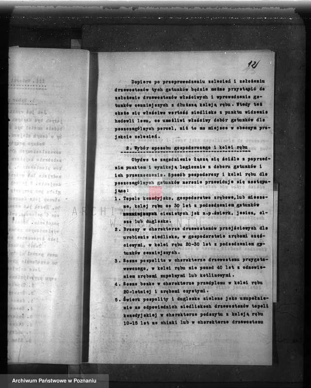 Obraz 16 z jednostki "Dodatkowy plan gospodarstwa leśnego majątku Niemierzewo powiatu międzychodzkiego 1938-1948"
