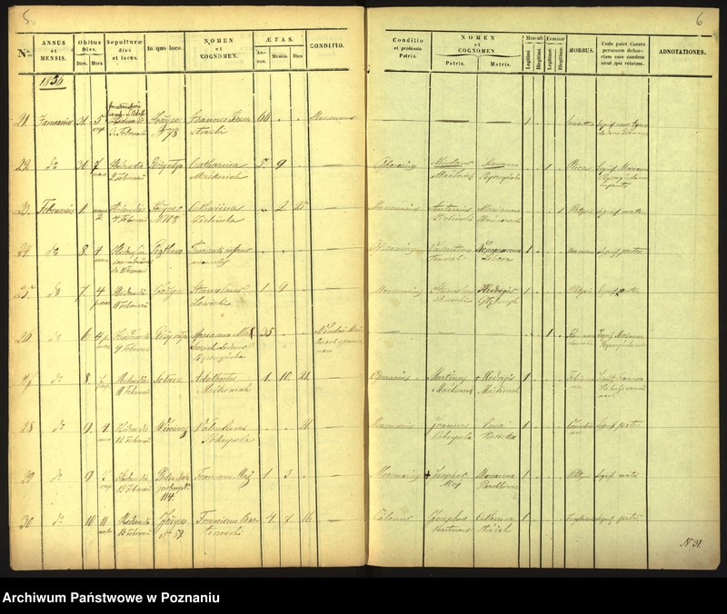 Obraz 6 z jednostki "Księga zgonów"