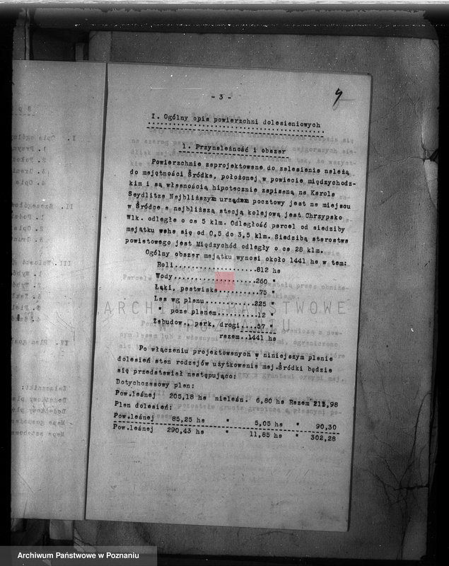 Obraz 12 z jednostki "Dodatkowy plan urządzenia gospodarstwa leśnego majątku Śródka powiat międzychodzki"