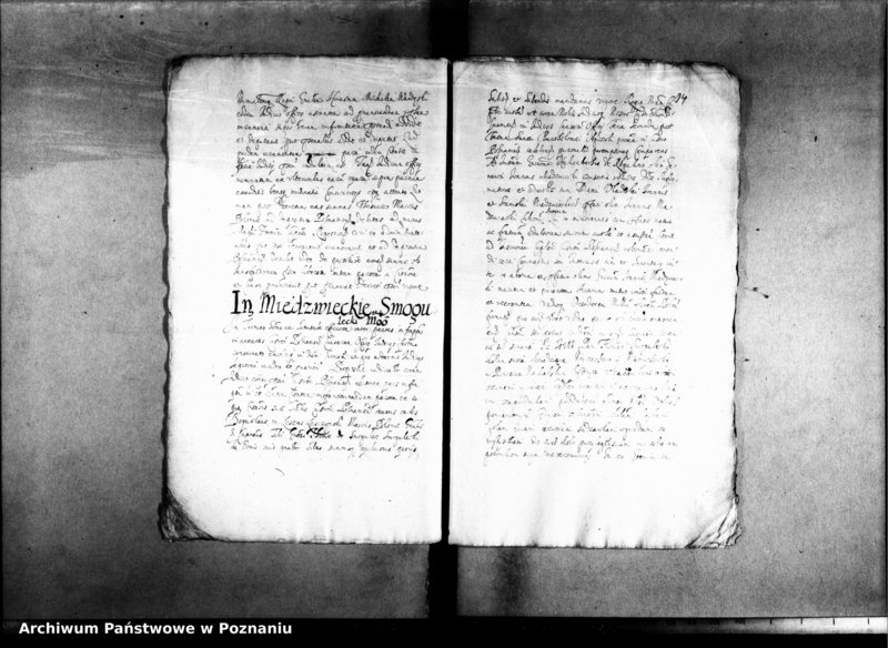 Obraz 17 z jednostki "Decreta officii [inducta]"