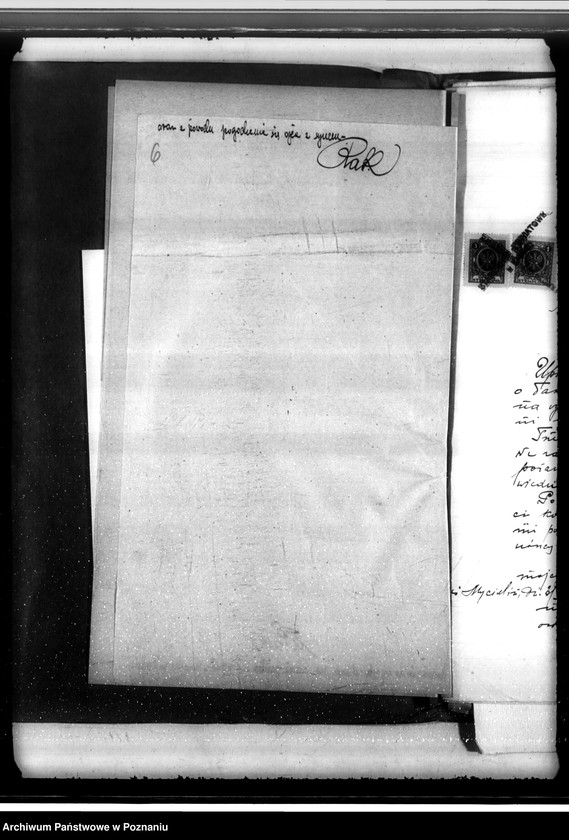 Obraz 10 z jednostki "Gmina Kościelec powiat kaliski /sprawy leśne/"