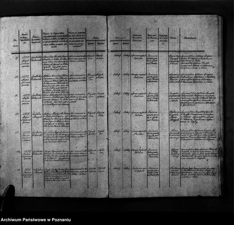 Obraz 5 z jednostki "Duplicatum copulatorum, baptisatorum, mortuorum"