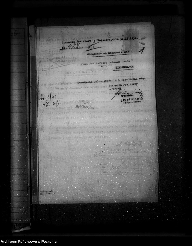 Obraz 5 z jednostki "Las gminy Jaromierz powiat wolsztyński"