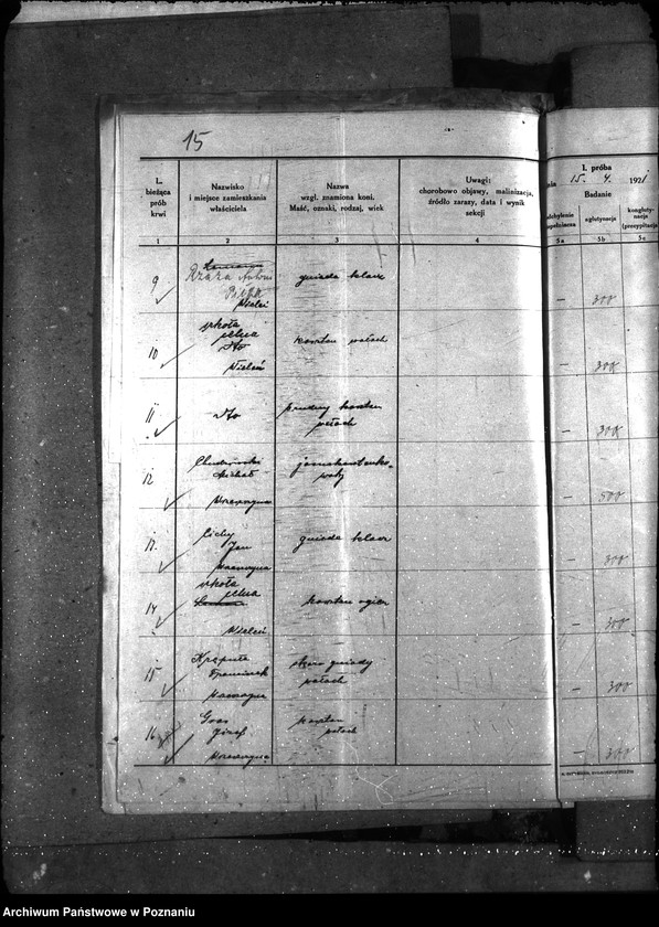 Obraz 19 z jednostki "Nosacizna - Czarnków"