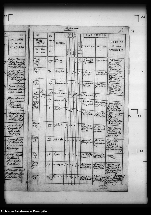 Obraz 10 z jednostki "[Kopie ksiąg metrykalnych parafii Michowa z filią Wełykie (dekanat Dobromil)]"