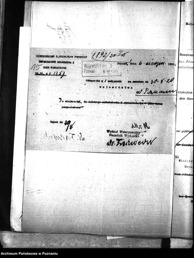 Obraz 19 z jednostki "Nosacizna - Poznań Miasto"