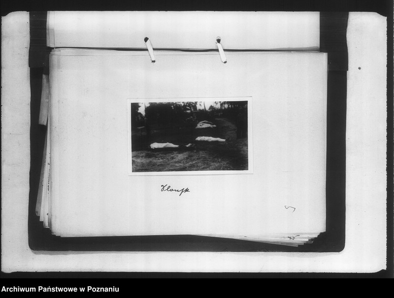 Obraz 9 z jednostki "Zweigstelle Litzmannstadt (Łódź) Aufnahmen"