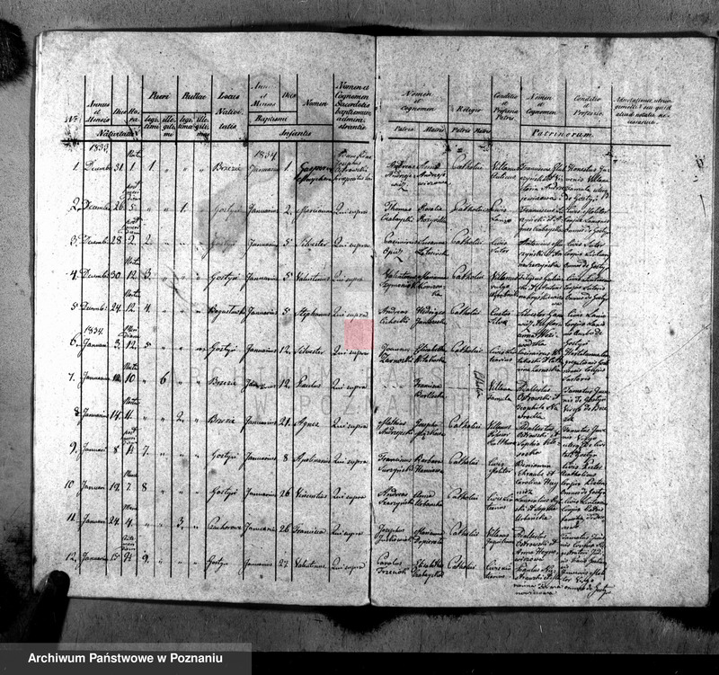 Obraz 3 z jednostki "Liber baptisatorum, copulatorum, mortuorum"