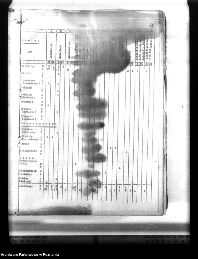 Obraz 8 z jednostki "Statistik der Krankheiten im Wartheland"