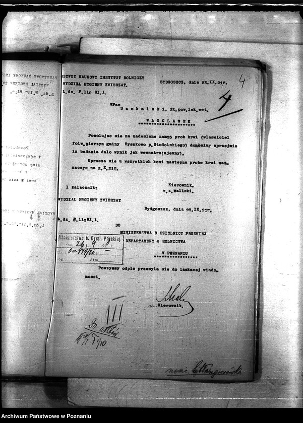 Obraz 8 z jednostki "Nosacizna - b. Kongresówka"