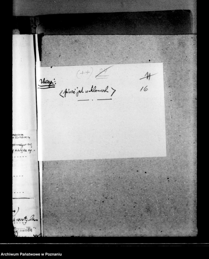 Obraz 20 z jednostki "Majętność leśna Rakojady powiat wągrowiecki"