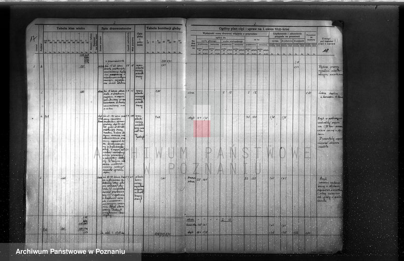 image.from.unit.number "Plan urządzenia gospodarstwa leśnego dla lasu majętności Brzoza powiat szamotulski 1929-1939"