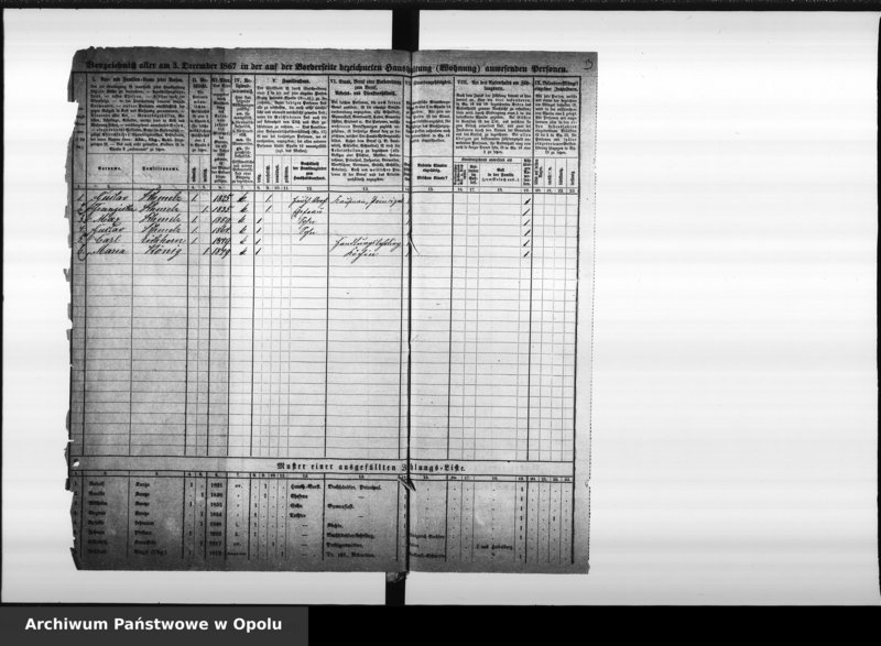Obraz 6 z jednostki "Zählbezirk 9 [Spis ludności, 1867]"