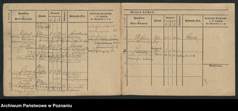 Obraz 16 z jednostki "Dreger - Drobniczak"