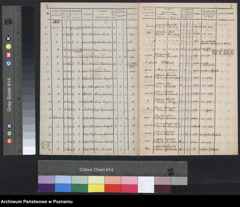 Obraz 4 z jednostki "Księga zgonów"