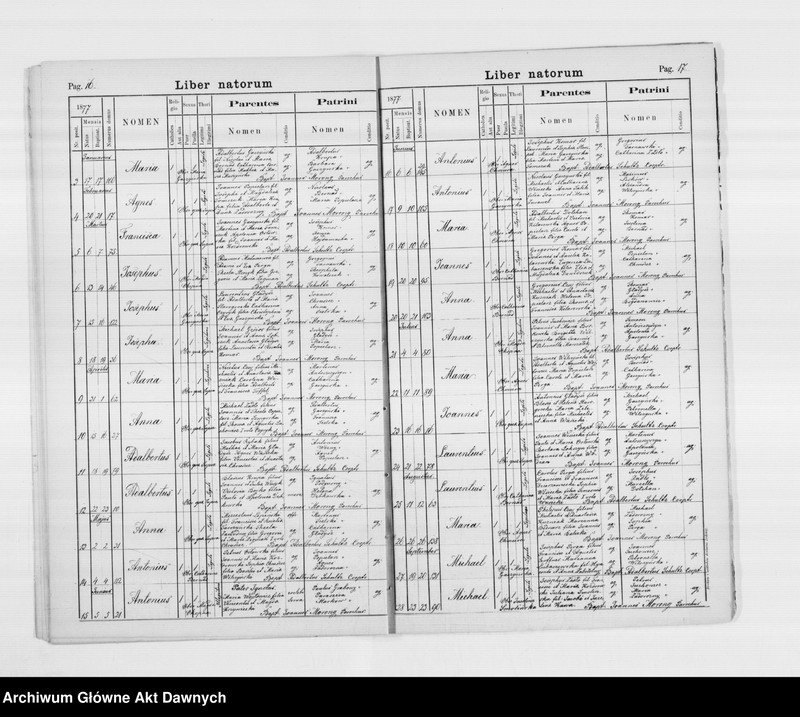 image.from.unit.number "Parafia: Skałat. Dekanat: Skałat. Kopie z ksiąg metrykalnych ur., śl., zg. dla całej parafii (miasto Skałat i wsie)."