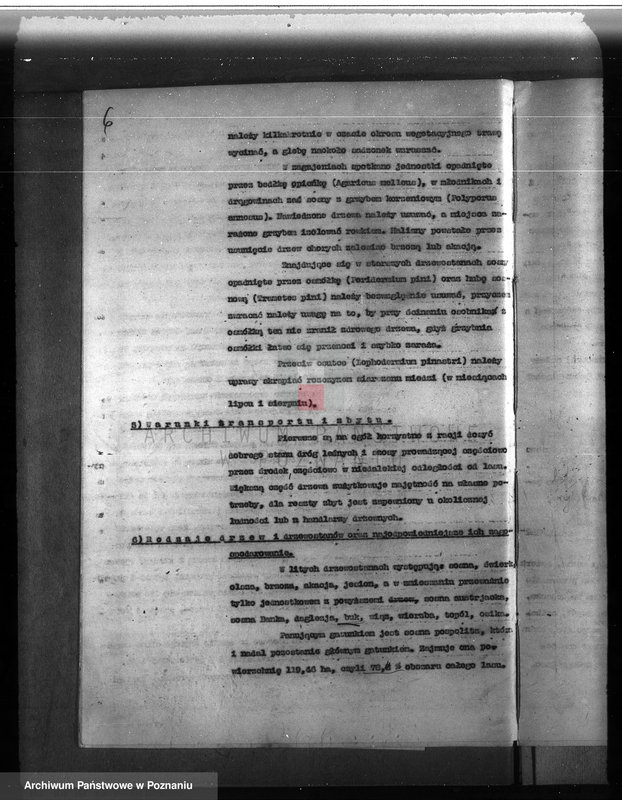 Obraz 10 z jednostki "Majątek Lutom w powiecie międzychodzkim 1930-1940 Plan urządzenia gospodarstwa leśnego"