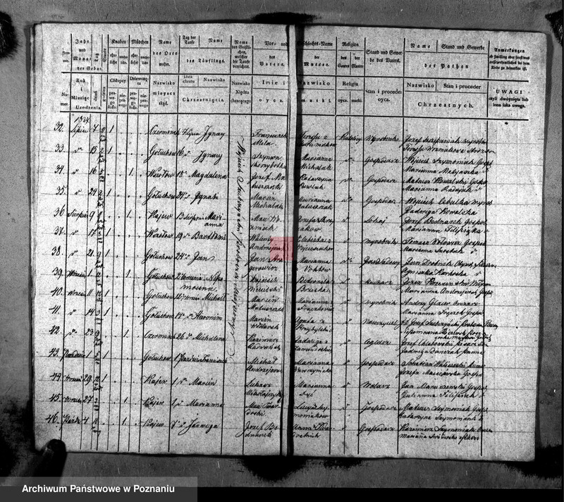 Obraz z zespołu "Akta stanu cywilnego Parafii Rzymskokatolickiej Gołuchów (pow. pleszewski)"