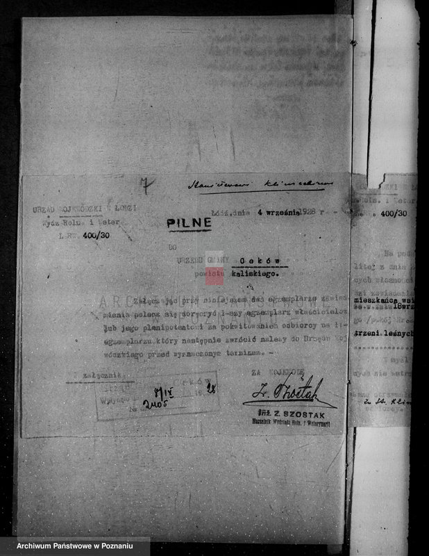 Obraz 11 z jednostki "Gmina Ceków w powiecie kaliskim nadzór nad gospodarką w lasach"