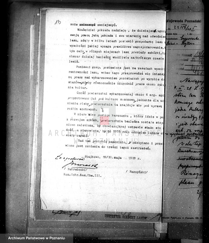 Obraz 19 z jednostki "Nadzór nad gospodarką leśną w lasach majętności Stajkowo powiecie czarnkowskim"