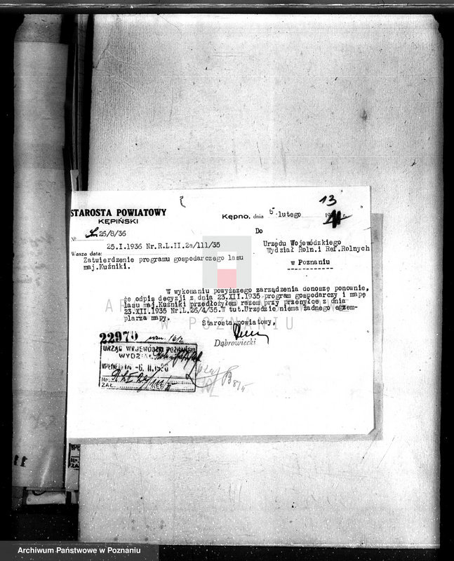 Obraz 17 z jednostki "Lasy majątku Kuźniki powiatu kępińskiego"