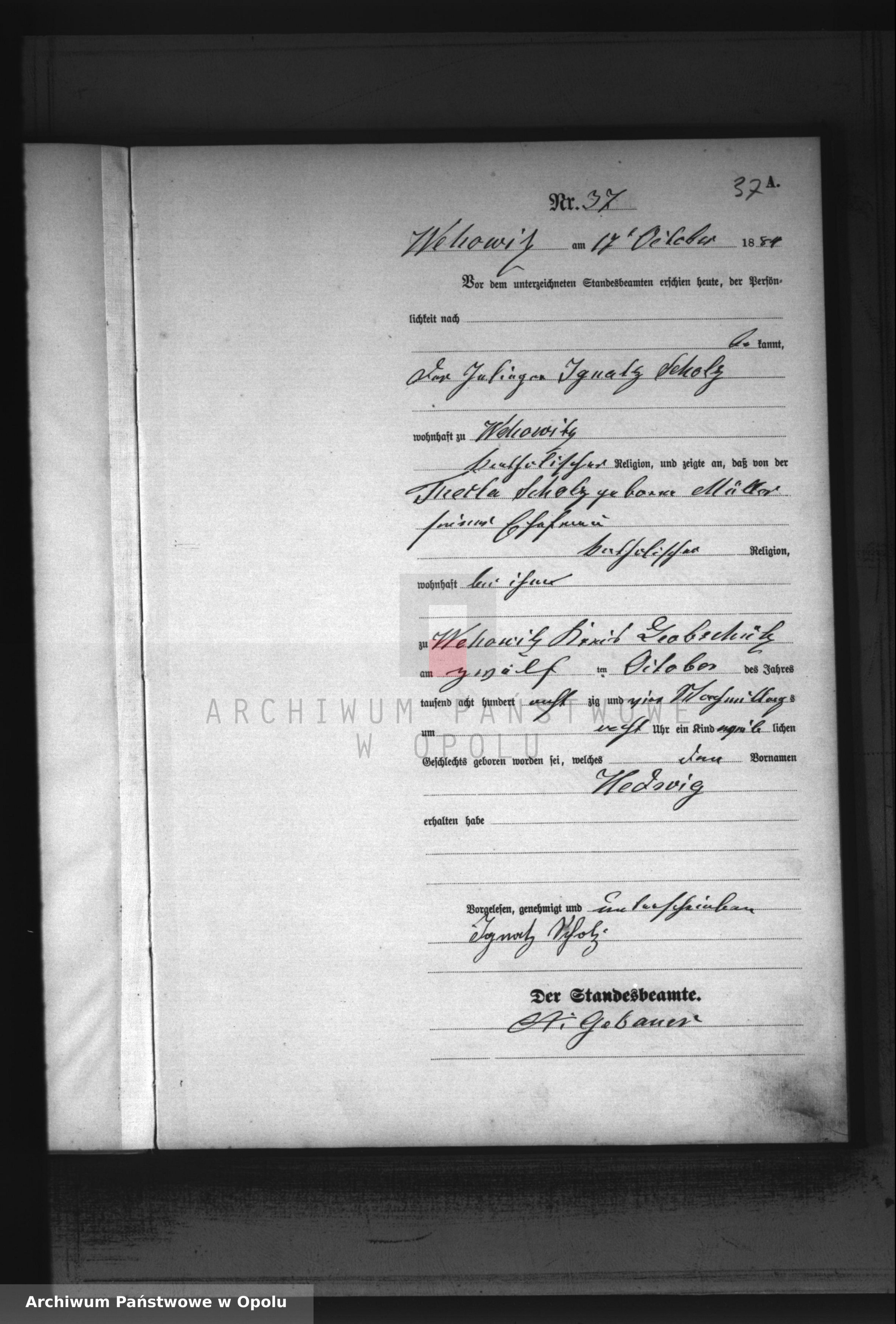 Skan z jednostki: Geburts-Haupt-Register Standesamts Wehowitz pro 1884