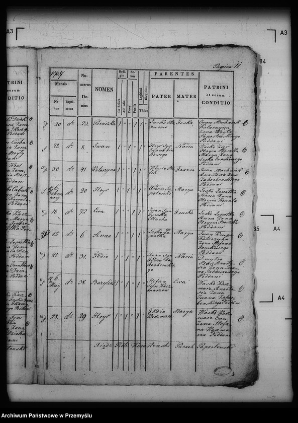 image.from.unit.number "[Kopie ksiąg metrykalnych parafii Paportno z filią Sopotnik i Kropiwnik (dekanat Dobromil)]"