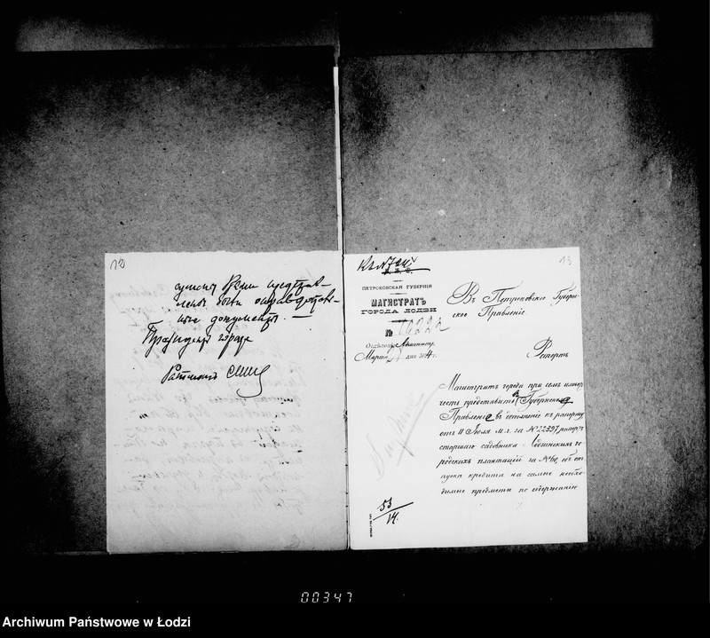 Obraz 12 z jednostki "O raschodach po soderžaniju v ispravnosti gorodskago parka po Panskoj ulice"