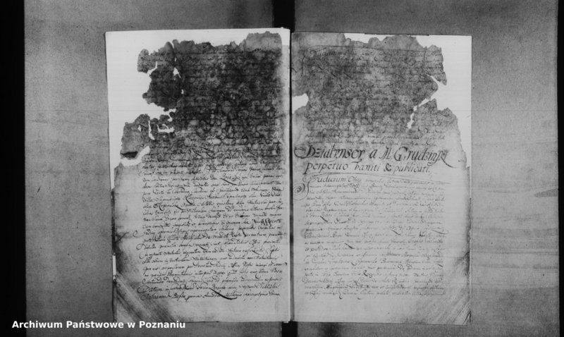 Obraz 8 z jednostki "Decreta officii [inducta]"