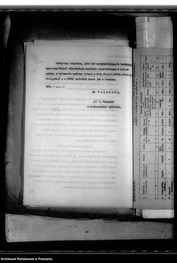 Obraz 19 z jednostki "Postępowanie techniczne przy parcelacji majątku Pępowo powiatu gostyńskiego"