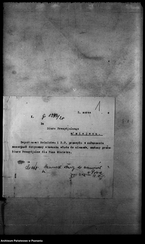 Obraz 5 z jednostki "Likwidacja z Niemcami"