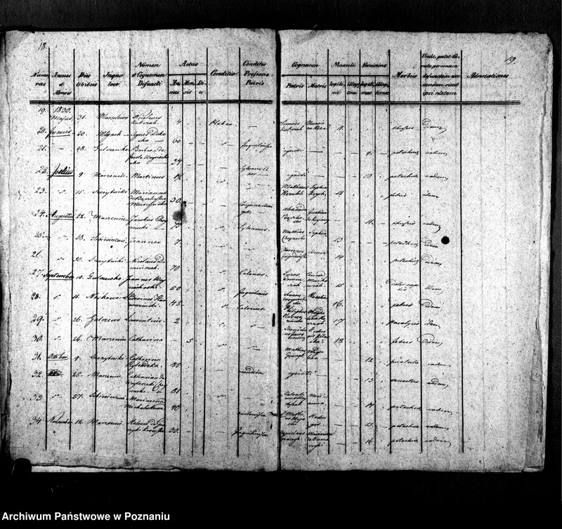 Obraz 13 z jednostki "Libri metrices baptisatorum, desponsatorum, mortuorum"