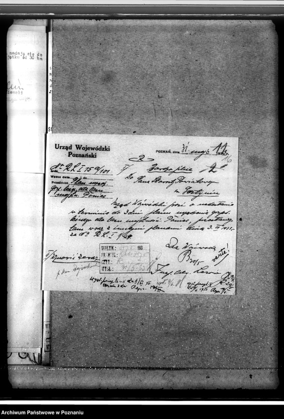 Obraz 20 z jednostki "Lasy majętności Wydawy w powiecie gostyńskim"