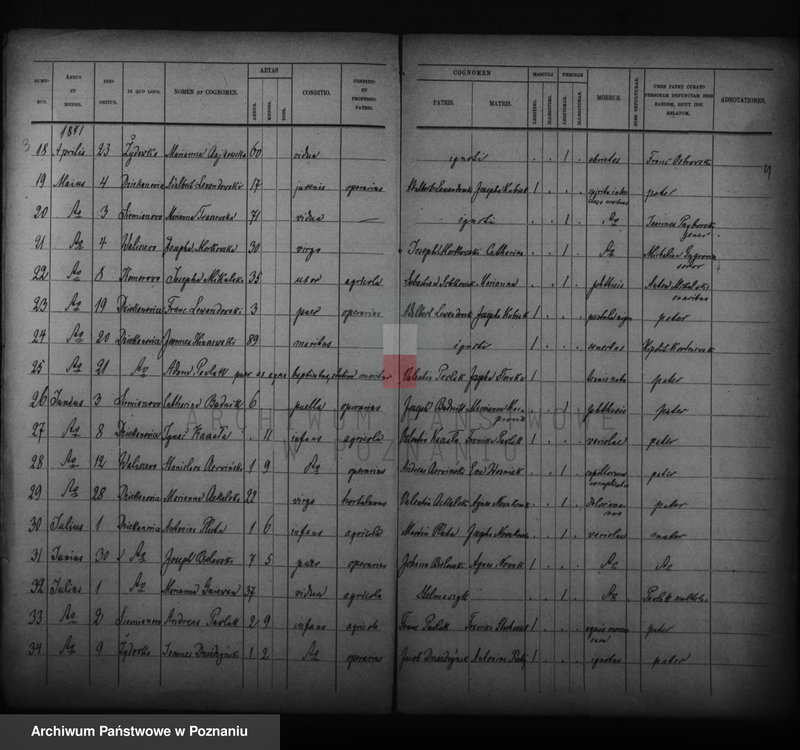 image.from.unit.number "Duplikat zmarłych"