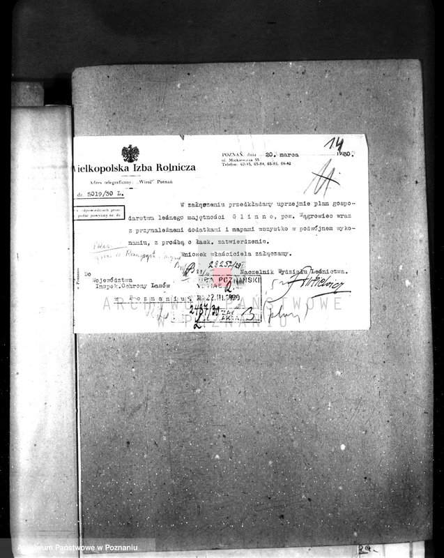 Obraz 18 z jednostki "Majętność leśna Glinno powiat wągrowiecki"