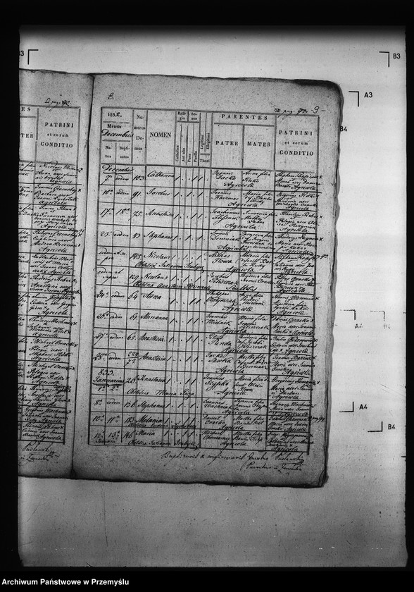 Obraz 13 z jednostki "[Kopie ksiąg metrykalnych parafii Zawadów (dekanat Niemirów)]"