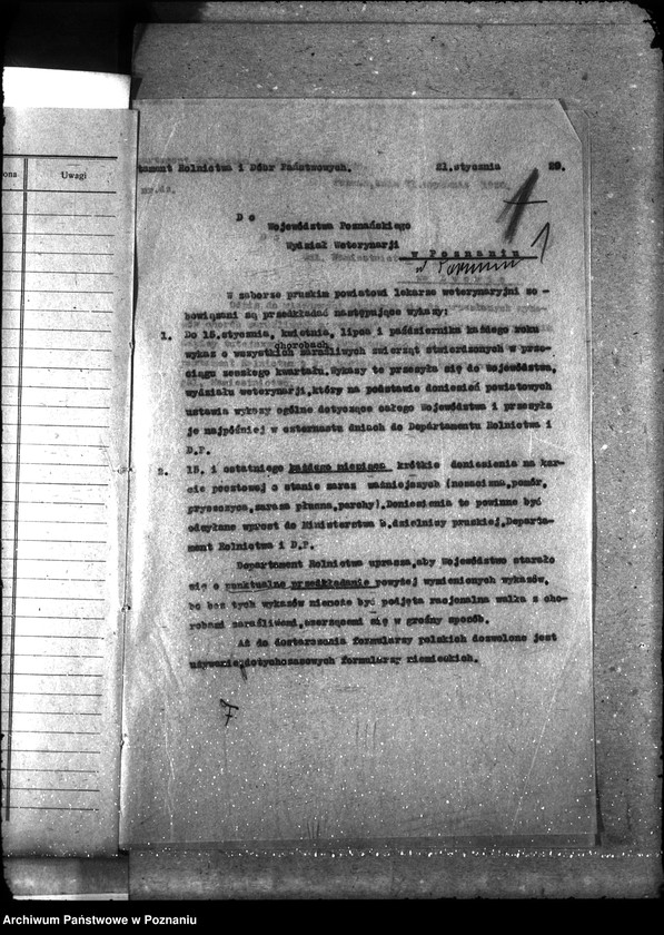 Obraz 5 z jednostki "Sprawy ogólne Wykazy chorób zaraźliwych; [księgosusz, zaraza płucna]"