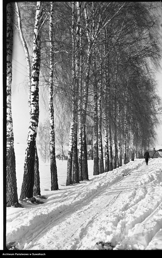 image.from.unit.number "Brzozy - pejzaż zimowy"