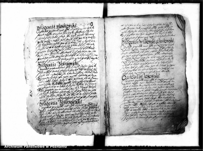 Obraz 6 z jednostki "Inscriptiones, relationes [inducta]"