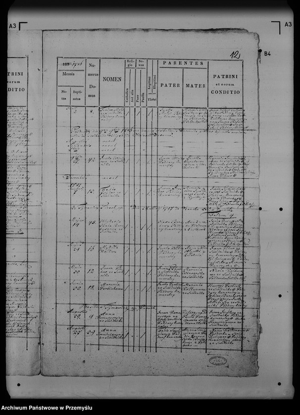 Obraz 16 z jednostki "[Kopie ksiąg metrykalnych parafii Świdnik (dekanat Rozłucz)]"