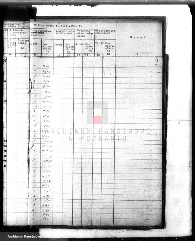 Obraz 13 z jednostki "Sprawozdanie z działalności organów ochrony lasów za 1930"