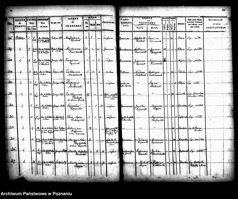 Obraz 20 z jednostki "Księga zgonów"