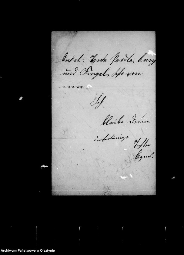 image.from.unit.number "/Agnes Gfin Schwerin geb. Lehndorff an ihre Mutter Anna Gfin geb. Hahn/"