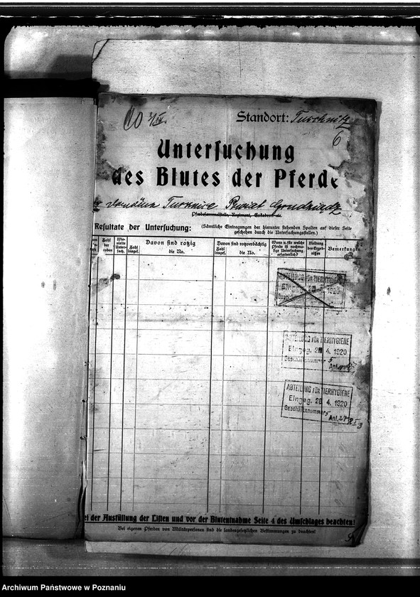 Obraz 10 z jednostki "Nosacizna - Grudziądz"