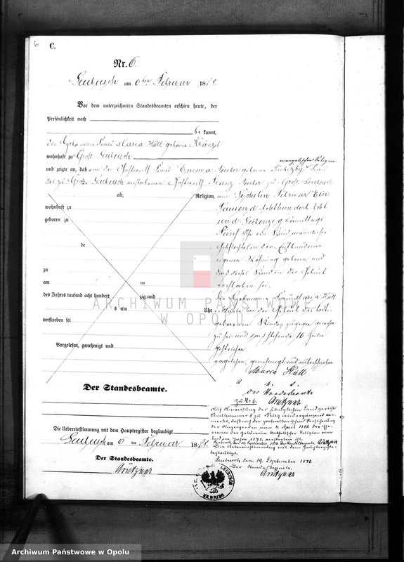 Obraz 9 z jednostki "Sterbe-Neben-Register des Standes Amt Leubusch pro 1878"