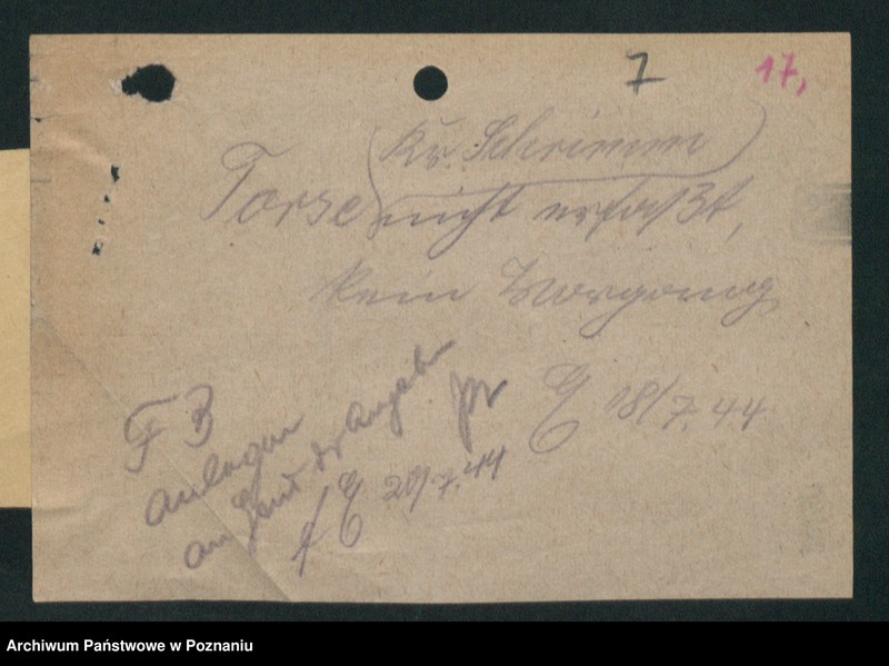 Obraz 10 z jednostki "Verdrängungslisten Gostigen [Gostyń]"