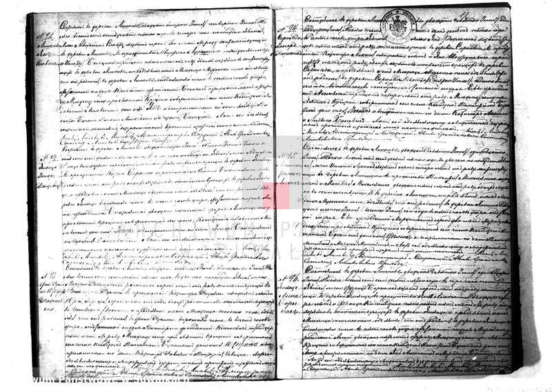 Obraz 20 z jednostki "Kniga Duplikat Rimsko- Katoličesko Liškovskago Prichoda na 1875 god"