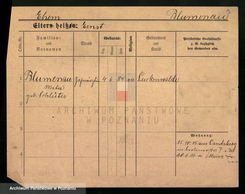 Obraz 5 z jednostki "Blumenau - Boch"