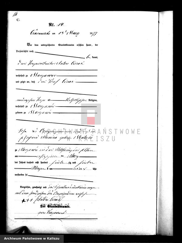 Obraz 17 z jednostki "[Księga zgonów]"
