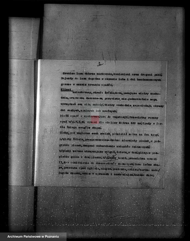 Obraz 6 z jednostki "Program urządzenia gospodarstwa leśnego lasu probostwa Modrzu powiat poznański"